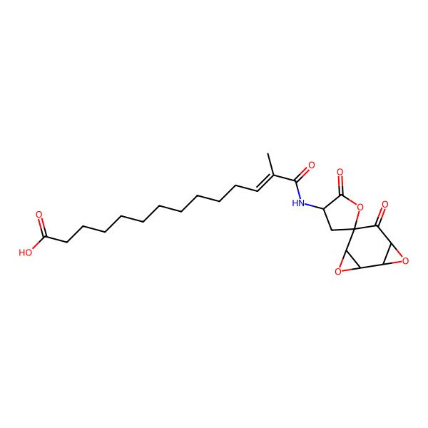 2D Structure of Chaetocuprum