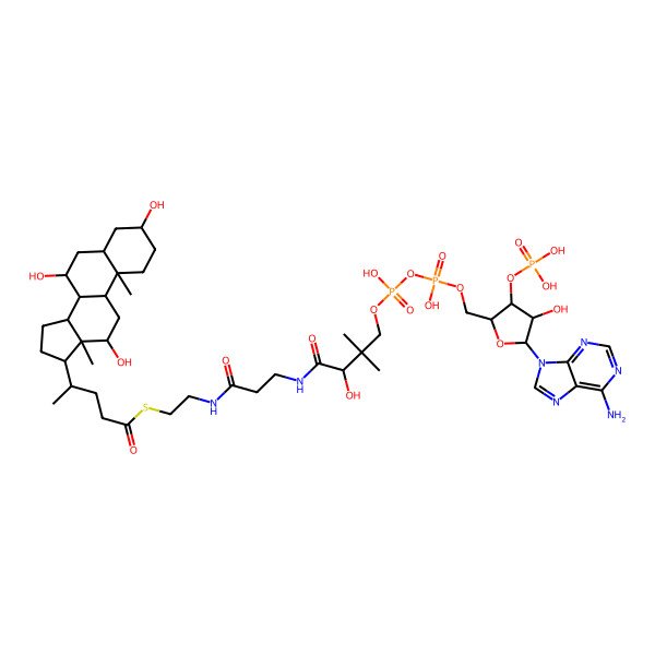 2D Structure of choloyl-CoA