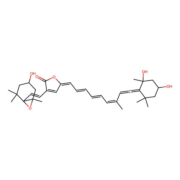 2D Structure of (5Z)-5-[(2E,4E,6E)-9-[(2R,4S)-2,4-dihydroxy-2,6,6-trimethylcyclohexylidene]-7-methylnona-2,4,6,8-tetraenylidene]-3-[(E)-2-[(1S,4S,6R)-4-hydroxy-2,2,6-trimethyl-7-oxabicyclo[4.1.0]heptan-1-yl]ethenyl]furan-2-one