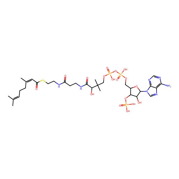 2D Structure of cis-geranoyl-CoA 2D Structure of cis-geranoyl-CoA