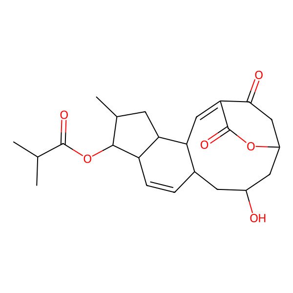2D Structure of Cochleamycin A2