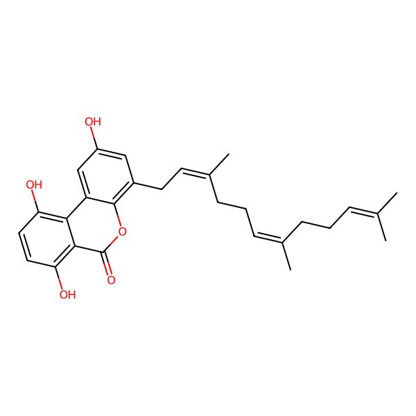 2D Structure of Cochlearoid L