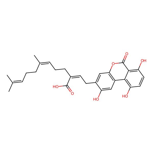 2D Structure of Cochlearoid M