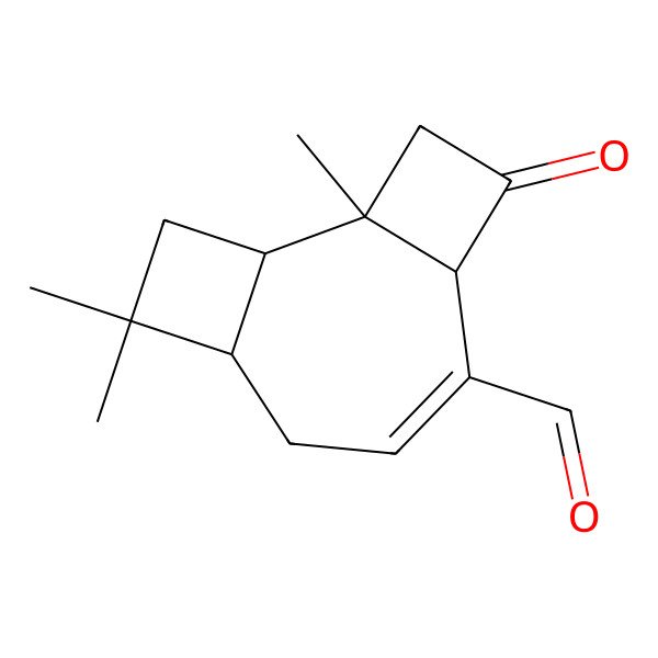 2D Structure of Collybial