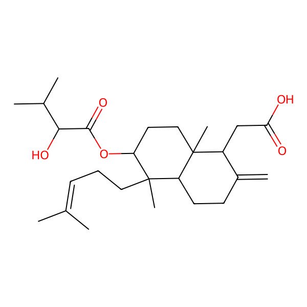 2D Structure of Conoideocin A