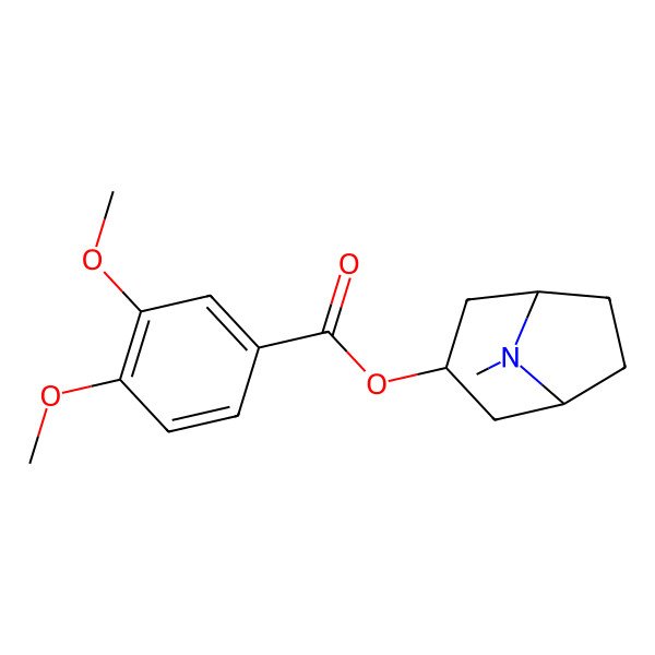 2D Structure of Convolamine 2D Structure of Convolamine