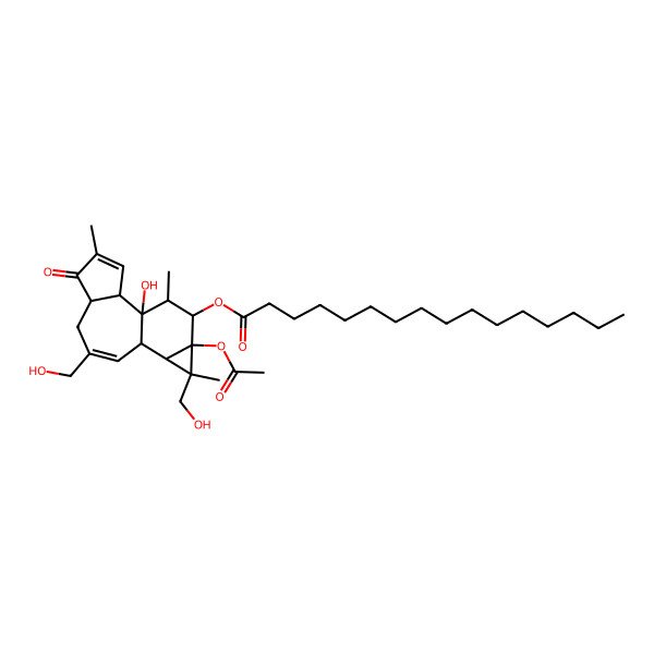 2D Structure of Hexadecanoic acid, 9a-(acetyloxy)-1a,1b,4,4a,5,7a,7b,8,9,9a-decahydro-7b-hydroxy-1,3-bis(hydroxymethyl)-1,6,8-trimethyl-5-oxo-1H-cyclopropa(3,4)benz(1,2-e)azulen-9-yl ester, (1S,1aR,1bS,4aS,7aR,7bR,8R,9R,9aS)-