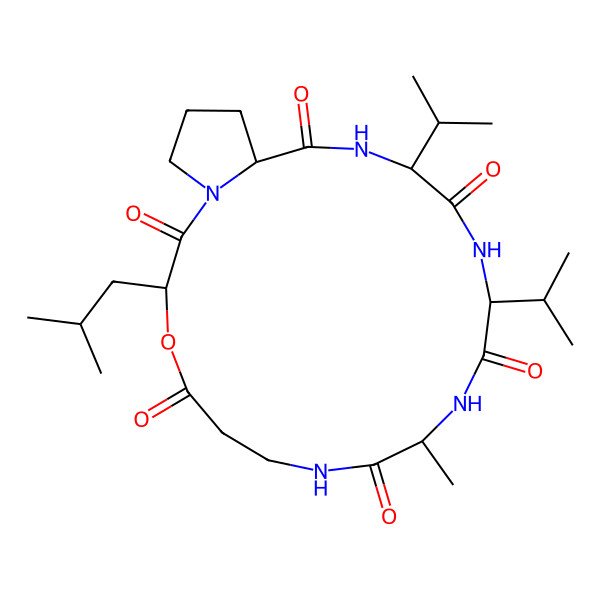2D Structure of cyclo[Ala-bAla-D-OLeu-Pro-Val-Val]