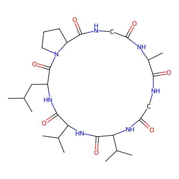 2D Structure of cyclo[Ala-Gly-Val-Val-Leu-Pro-Gly]