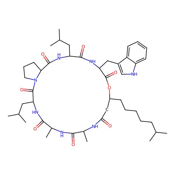 2D Structure of cyclo[D-Ala-D-Ala-D-Leu-Pro-D-Leu-Trp-ObAla(3S-isooctyl)]