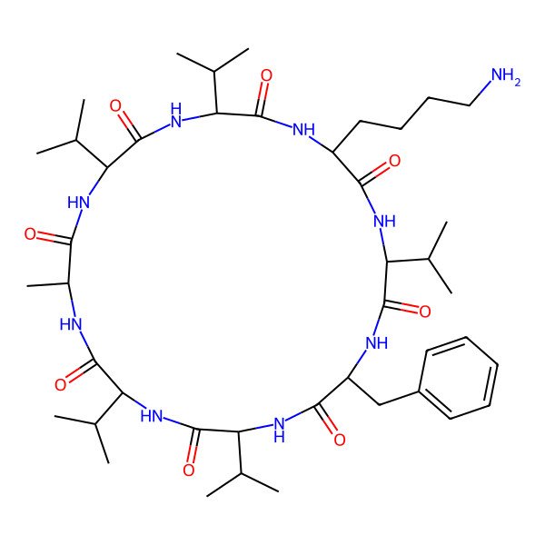 2D Structure of cyclo[DL-Ala-DL-Val-DL-Val-DL-Lys-DL-Val-DL-Phe-DL-Val-DL-Val]