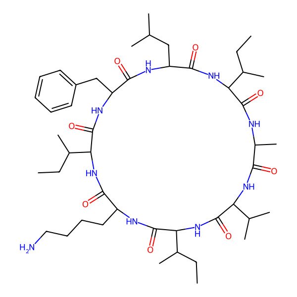 2D Structure of cyclo[DL-Ala-DL-Val-DL-xiIle-DL-Lys-DL-xiIle-DL-Phe-DL-Leu-DL-xiIle]