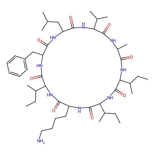 2D Structure of cyclo[DL-Ala-DL-xiIle-DL-xiIle-DL-Lys-DL-xiIle-DL-Phe-DL-Leu-DL-Val]