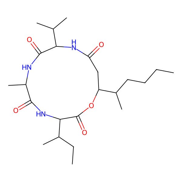 2D Structure of cyclo[DL-Ala-DL-xiIle-ObAla(3-hex-2-yl)-DL-Val]