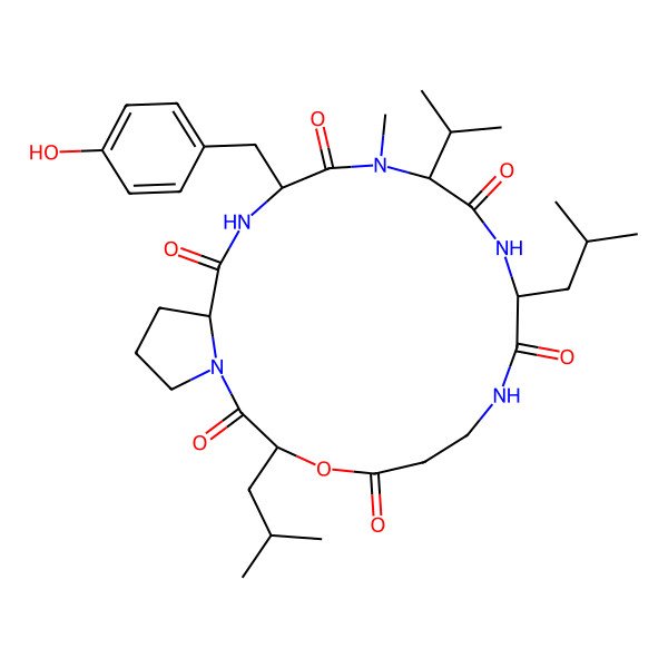 2D Structure of cyclo[DL-Leu-bAla-DL-OLeu-DL-Pro-DL-Tyr-DL-N(Me)Val]