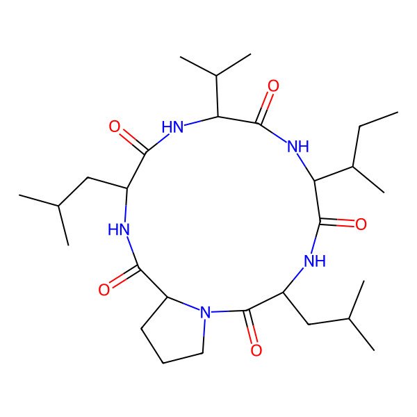 2D Structure of Cyclo(L-Val-D-Ile-L-Leu-L-Pro-D-Leu)