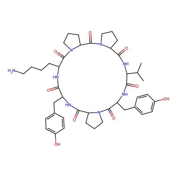 2D Structure of cyclo[Lys-Pro-Pro-Val-Tyr-Pro-Tyr]