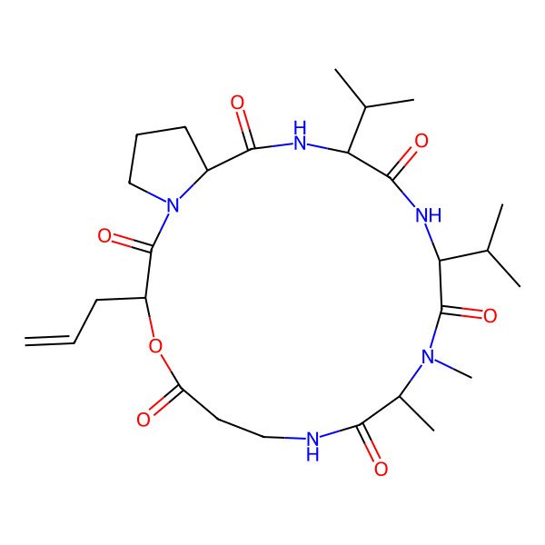 2D Structure of cyclo[N(Me)Ala-bAla-D-OGly(allyl)-Pro-Val-Val]