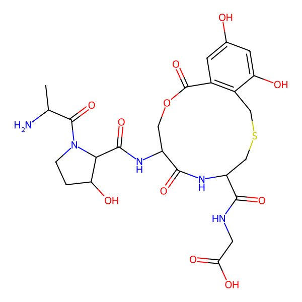 2D Structure of Cyclothialidine D