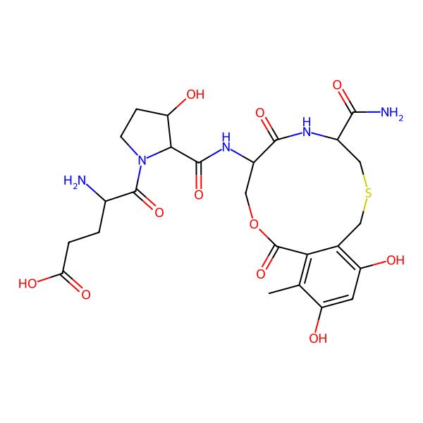 2D Structure of Cyclothialidine E
