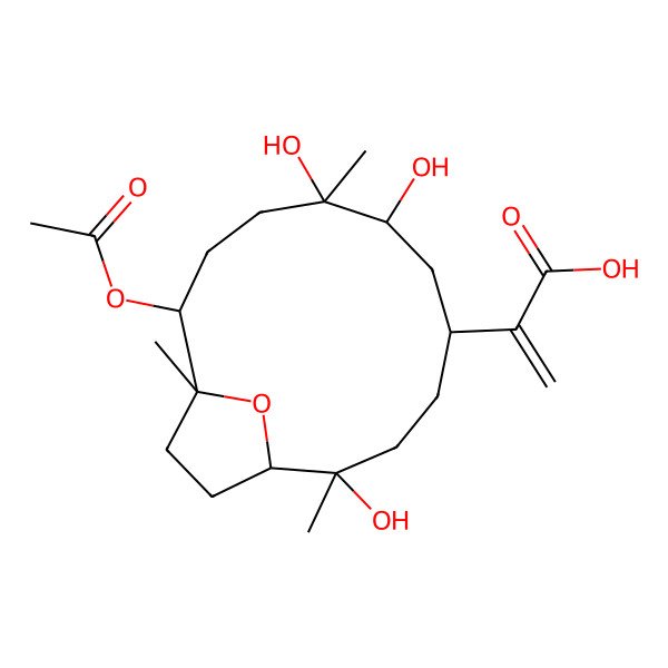 2D Structure of 2-[(1S,2R,5R,7S,8S,11S,12R)-11-acetyloxy-2,7,8-trihydroxy-2,8,12-trimethyl-15-oxabicyclo[10.2.1]pentadecan-5-yl]prop-2-enoic acid