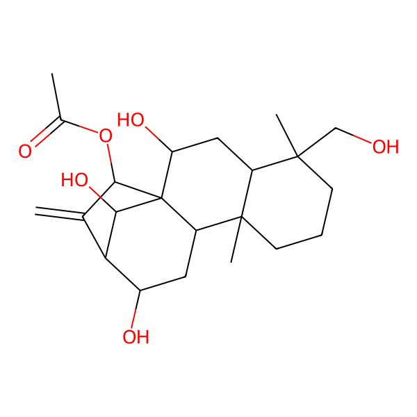 2D Structure of [2,12,16-Trihydroxy-5-(hydroxymethyl)-5,9-dimethyl-14-methylidene-15-tetracyclo[11.2.1.01,10.04,9]hexadecanyl] acetate