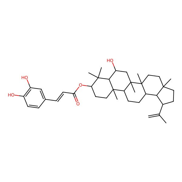 2D Structure of [(1R,3aR,5aR,5bR,7S,7aR,9S,11aR,11bR,13aR,13bR)-7-hydroxy-3a,5a,5b,8,8,11a-hexamethyl-1-prop-1-en-2-yl-1,2,3,4,5,6,7,7a,9,10,11,11b,12,13,13a,13b-hexadecahydrocyclopenta[a]chrysen-9-yl] (E)-3-(3,4-dihydroxyphenyl)prop-2-enoate