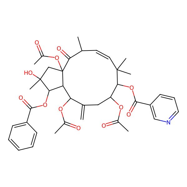 2D Structure of (3a,10,13-Triacetyloxy-1-benzoyloxy-2-hydroxy-2,5,8,8-tetramethyl-12-methylidene-4-oxo-1,3,5,9,10,11,13,13a-octahydrocyclopenta[12]annulen-9-yl) pyridine-3-carboxylate
