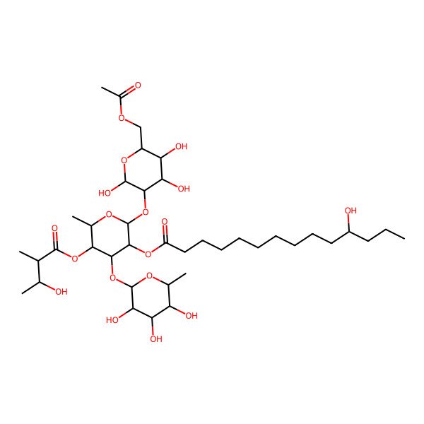 2D Structure of [2-[6-(Acetyloxymethyl)-2,4,5-trihydroxyoxan-3-yl]oxy-5-(3-hydroxy-2-methylbutanoyl)oxy-6-methyl-4-(3,4,5-trihydroxy-6-methyloxan-2-yl)oxyoxan-3-yl] 11-hydroxytetradecanoate