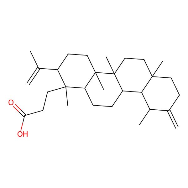 2D Structure of 3-[(1S,2S,4aR,4bR,6aR,10R,10aS,10bR,12aR)-1,4a,4b,6a,10-pentamethyl-9-methylidene-2-prop-1-en-2-yl-3,4,5,6,7,8,10,10a,10b,11,12,12a-dodecahydro-2H-chrysen-1-yl]propanoic acid