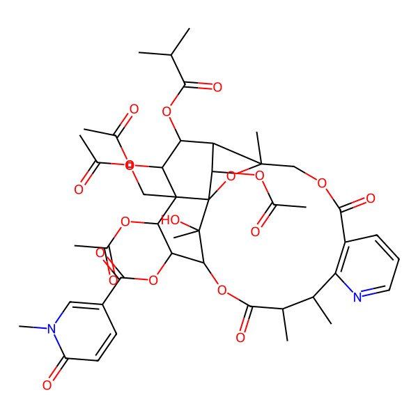 2D Structure of [19,21,24-Triacetyloxy-20-(acetyloxymethyl)-25-hydroxy-3,13,14,25-tetramethyl-22-(2-methylpropanoyloxy)-6,15-dioxo-2,5,16-trioxa-11-azapentacyclo[15.7.1.01,20.03,23.07,12]pentacosa-7(12),8,10-trien-18-yl] 1-methyl-6-oxopyridine-3-carboxylate