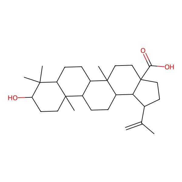 2D Structure of (1S,3aS,5aR,5bR,7aR,9R,11aS,11bR,13aS,13bS)-9-hydroxy-5a,8,8,11a-tetramethyl-1-prop-1-en-2-yl-2,3,4,5,5b,6,7,7a,9,10,11,11b,12,13,13a,13b-hexadecahydro-1H-cyclopenta[a]chrysene-3a-carboxylic acid
