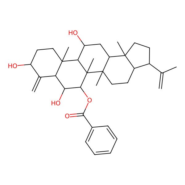 2D Structure of (7,9,12-Trihydroxy-5a,5b,11a,13b-tetramethyl-8-methylidene-3-prop-1-en-2-yl-1,2,3,3a,4,5,6,7,7a,9,10,11,11b,12,13,13a-hexadecahydrocyclopenta[a]chrysen-6-yl) benzoate