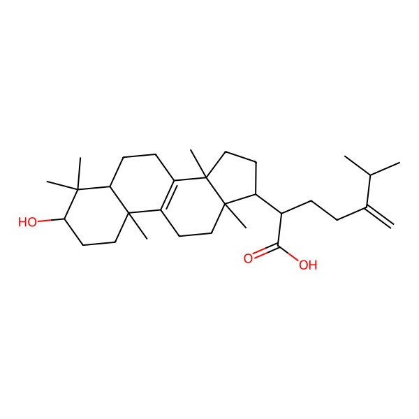 2D Structure of 2-(3-Hydroxy-4,4,10,13,14-Pentamethyl-2,3,5,6,7,11,12,15,16,17-Decahydro-1H-Cyclopenta(A)Phenanthren-17-Yl)-6-Methyl-5-Methylideneheptanoic Acid