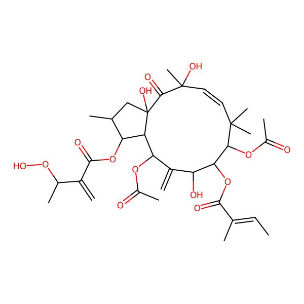 2D Structure of [(1S,2S,3aR,5R,6Z,9S,10R,11S,13R,13aR)-9,13-diacetyloxy-3a,5,11-trihydroxy-2,5,8,8-tetramethyl-10-[(Z)-2-methylbut-2-enoyl]oxy-12-methylidene-4-oxo-1,2,3,9,10,11,13,13a-octahydrocyclopenta[12]annulen-1-yl] 3-hydroperoxy-2-methylidenebutanoate