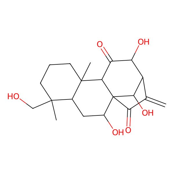 2D Structure of 2,12,16-Trihydroxy-5-(hydroxymethyl)-5,9-dimethyl-14-methylidenetetracyclo[11.2.1.01,10.04,9]hexadecane-11,15-dione