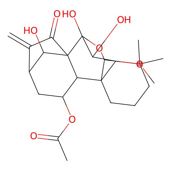 2D Structure of [(1S,2S,3S,5S,8R,9S,10S,11R,16S,18S)-9,10,18-trihydroxy-16-methoxy-12,12-dimethyl-6-methylidene-7-oxo-17-oxapentacyclo[7.6.2.15,8.01,11.02,8]octadecan-3-yl] acetate