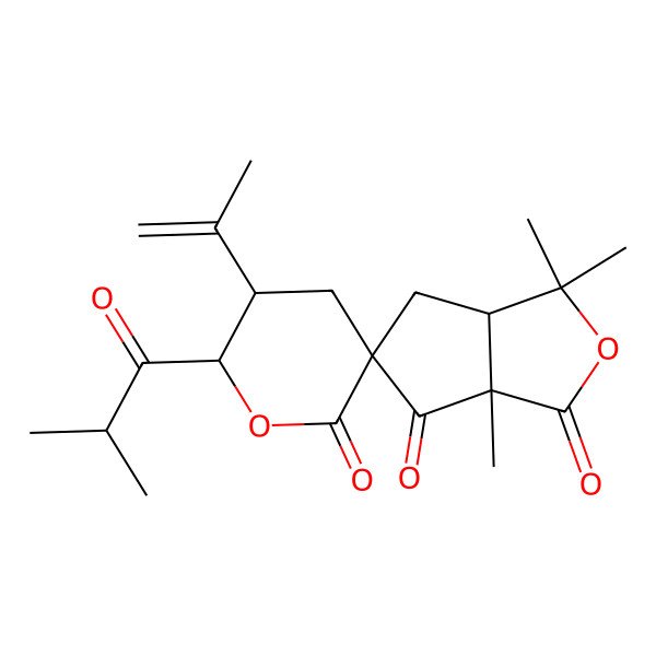 2D Structure of (3aR,5R,5'S,6'S,6aR)-3,3,6a-trimethyl-6'-(2-methylpropanoyl)-5'-prop-1-en-2-ylspiro[3a,4-dihydrocyclopenta[c]furan-5,3'-oxane]-1,2',6-trione