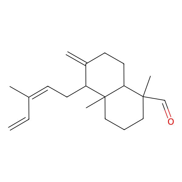 2D Structure of (1S,4aR,5R,8aS)-1,4a-dimethyl-6-methylidene-5-[(2Z)-3-methylpenta-2,4-dienyl]-3,4,5,7,8,8a-hexahydro-2H-naphthalene-1-carbaldehyde