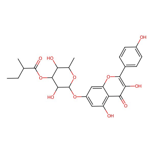 2D Structure of [(2S,3R,4R,5S,6S)-2-[3,5-dihydroxy-2-(4-hydroxyphenyl)-4-oxochromen-7-yl]oxy-3,5-dihydroxy-6-methyloxan-4-yl] (2S)-2-methylbutanoate