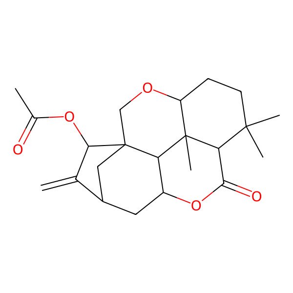 2D Structure of [(1R,2S,4S,6R,9R,13S,16S,17S)-10,10,17-trimethyl-3-methylidene-8-oxo-7,14-dioxapentacyclo[7.6.2.11,4.06,16.013,17]octadecan-2-yl] acetate