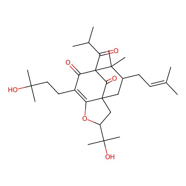 2D Structure of 6-(3-Hydroxy-3-methylbutyl)-3-(2-hydroxypropan-2-yl)-9,9-dimethyl-10-(3-methylbut-2-enyl)-8-(2-methylpropanoyl)-4-oxatricyclo[6.3.1.01,5]dodec-5-ene-7,12-dione
