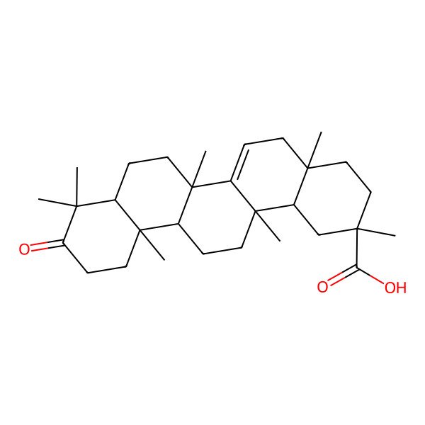 2D Structure of 2,4a,6b,9,9,12a,14a-heptamethyl-10-oxo-3,4,5,6a,7,8,8a,11,12,13,14,14b-dodecahydro-1H-picene-2-carboxylic acid
