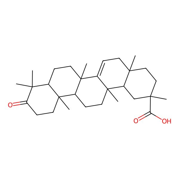 2D Structure of 2,4a,6b,9,9,12a,14a-heptamethyl-10-oxo-3,4,5,6a,7,8,8a,11,12,13,14,14b-dodecahydro-1H-picene-2-carboxylic acid 2D Structure of 2,4a,6b,9,9,12a,14a-heptamethyl-10-oxo-3,4,5,6a,7,8,8a,11,12,13,14,14b-dodecahydro-1H-picene-2-carboxylic acid