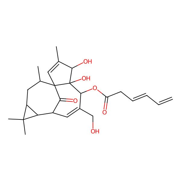 2D Structure of [4,5-Dihydroxy-7-(hydroxymethyl)-3,11,11,14-tetramethyl-15-oxo-6-tetracyclo[7.5.1.01,5.010,12]pentadeca-2,7-dienyl] hexa-3,5-dienoate