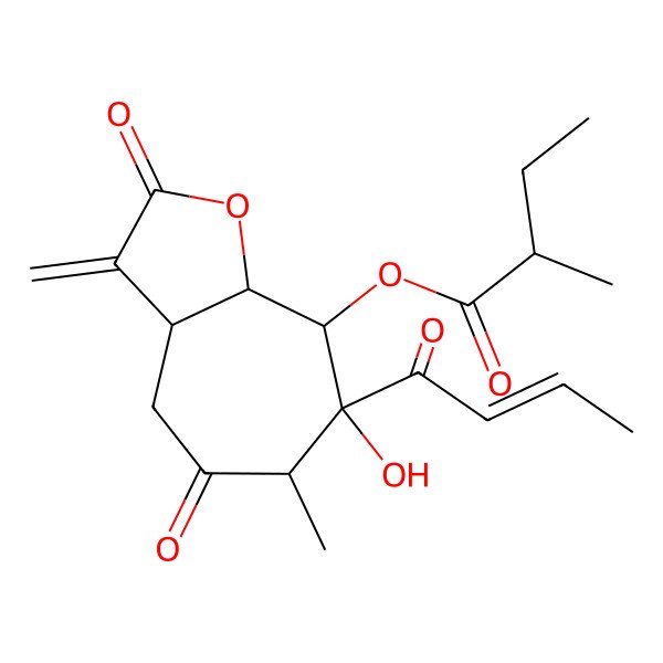2D Structure of (7-but-2-enoyl-7-hydroxy-6-methyl-3-methylidene-2,5-dioxo-4,6,8,8a-tetrahydro-3aH-cyclohepta[b]furan-8-yl) 2-methylbutanoate