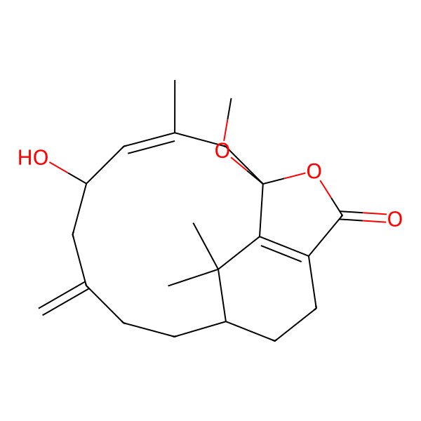 2D Structure of 5-Hydroxy-1-methoxy-3,17,17-trimethyl-7-methylidene-15-oxatricyclo[8.5.2.013,16]heptadeca-3,13(16)-dien-14-one