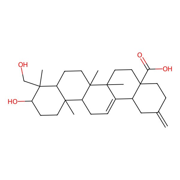 2D Structure of 10-Hydroxy-9-(hydroxymethyl)-6a,6b,9,12a-tetramethyl-2-methylidene-1,3,4,5,6,6a,7,8,8a,10,11,12,13,14b-tetradecahydropicene-4a-carboxylic acid 2D Structure of 10-Hydroxy-9-(hydroxymethyl)-6a,6b,9,12a-tetramethyl-2-methylidene-1,3,4,5,6,6a,7,8,8a,10,11,12,13,14b-tetradecahydropicene-4a-carboxylic acid