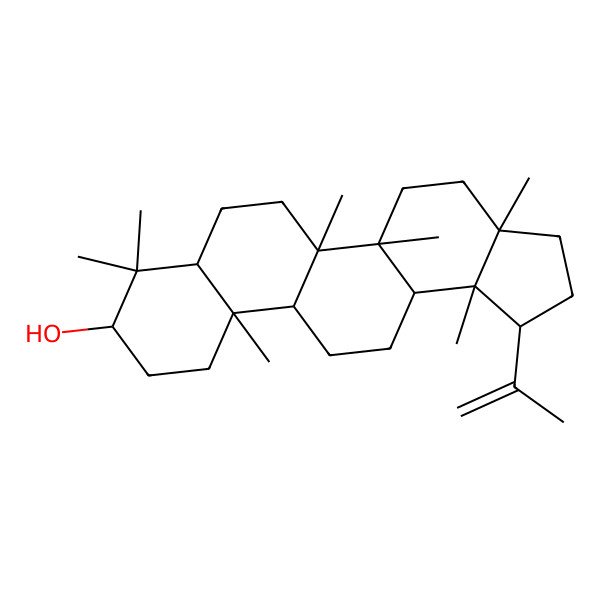 2D Structure of (1S,3aR,5aR,5bR,7aR,9S,11aR,11bR,13aS,13bR)-3a,5a,5b,8,8,11a,13b-heptamethyl-1-prop-1-en-2-yl-2,3,4,5,6,7,7a,9,10,11,11b,12,13,13a-tetradecahydro-1H-cyclopenta[a]chrysen-9-ol