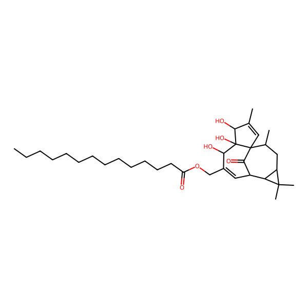 2D Structure of (4,5,6-Trihydroxy-3,11,11,14-tetramethyl-15-oxo-7-tetracyclo[7.5.1.01,5.010,12]pentadeca-2,7-dienyl)methyl tetradecanoate